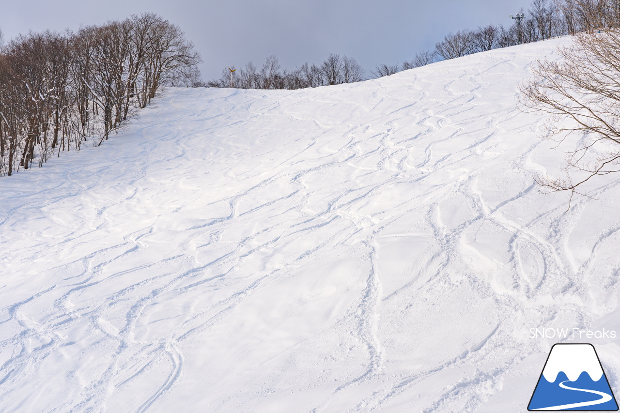 朝里川温泉スキー場｜祝・粉雪復活！競争率ゼロのゲレンデでパウダー三昧♪